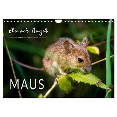 Kleiner Nager - Maus (Wandkalender 2026 DIN A4 quer), CALVENDO Monatskalender