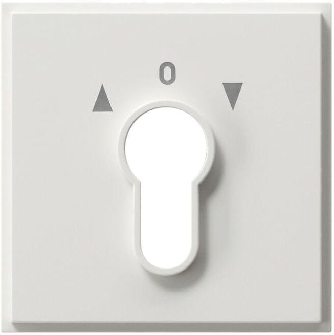 Gira Plaque centrale clé rws TX44 066466 (066466)