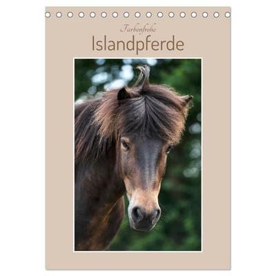 Farbenfrohe Islandpferde (Tischkalender 2027 DIN A5 hoch), CALVENDO Monatskalender