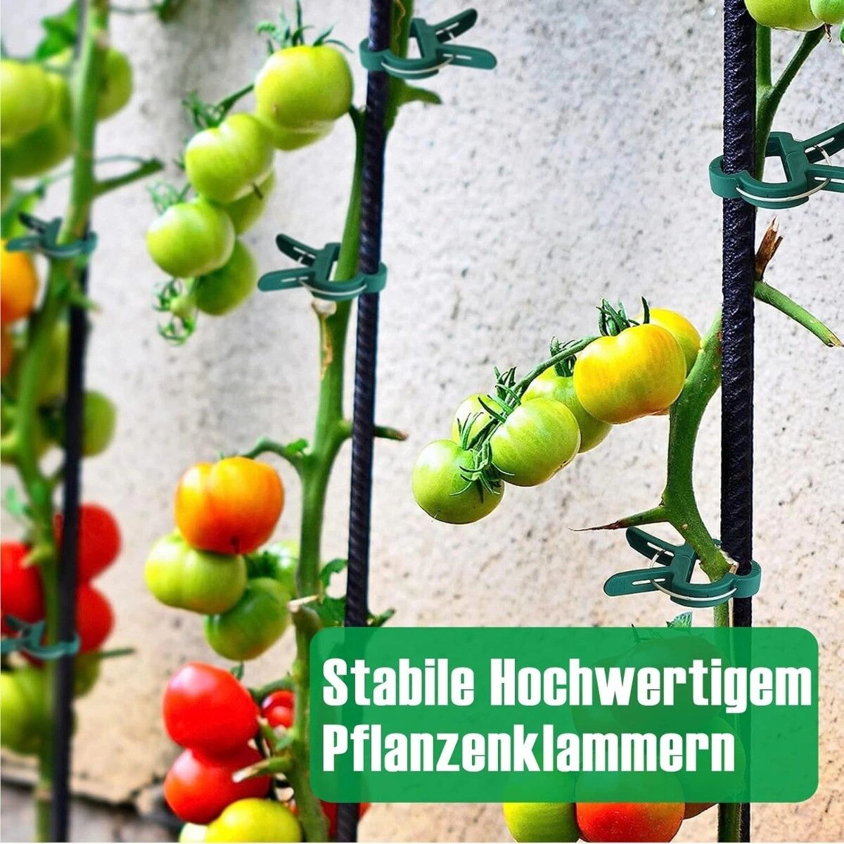INF Lot de 108 clips de fixation verts en ABS pour tomates et plantes grimpantes – Support et entraînement des plantes