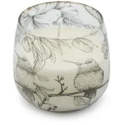 Medium Glass Jar Candles - Drawn by Flame