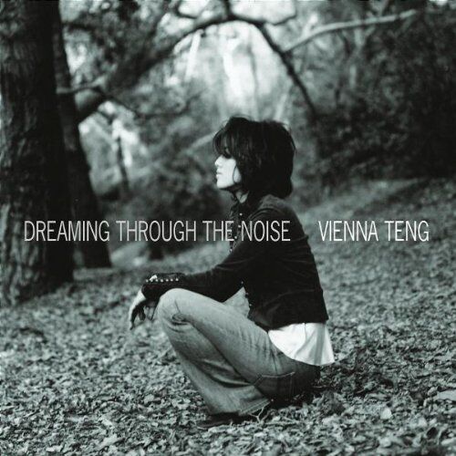 Vienna Teng - Dreaming Through the Noise - Preis vom 08.10.2026 07:26:42 h