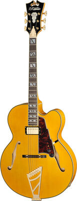 DAngelico Excel EXL1 Amber ambre