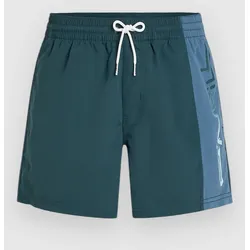 O'Neill Retro 14'' Boardshorts alma steel colour block Gr. L