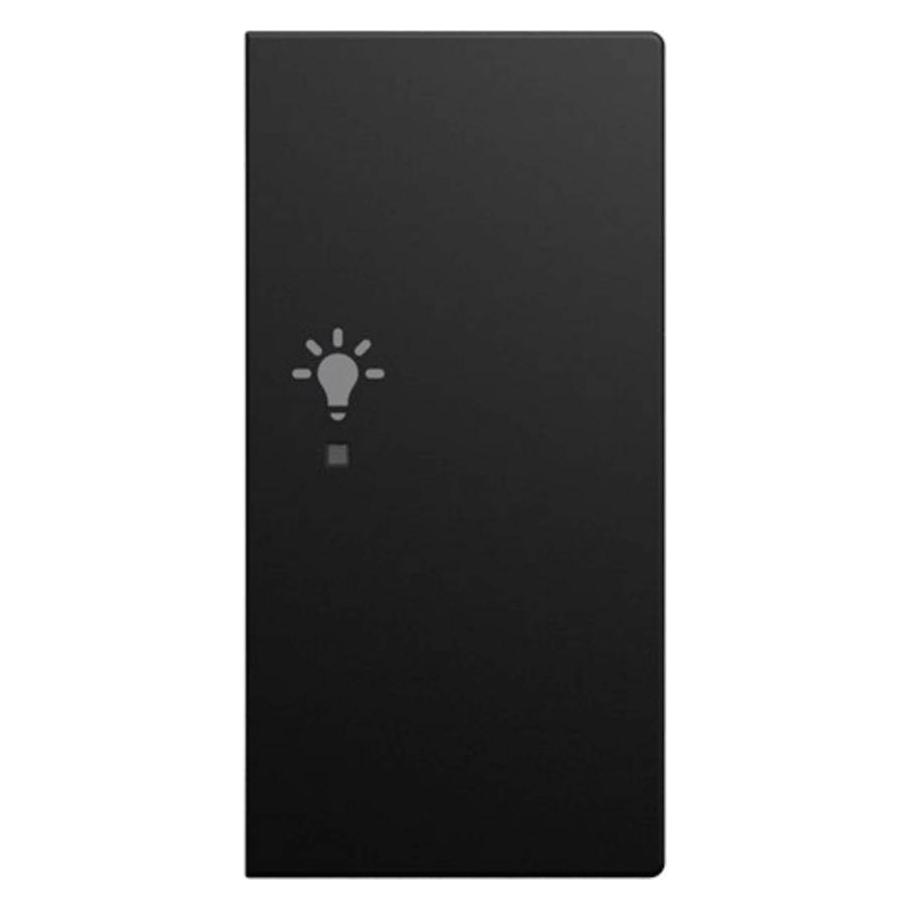 Busch-Jaeger Wippe 2-fach rechts mit Symbol Licht BUSCH-JÄGER (2CKA006220A1006)