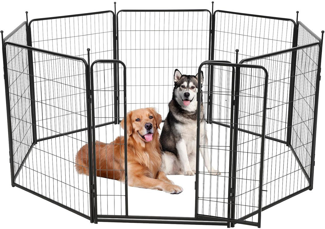 Archie & Oscar 101.6 cm H Metal Exercise Pen Silver