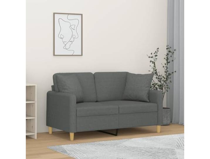 HEFZGDB Modernes 2-Sitzer-Sofa mit Zierkissen Dunkelgrau 120 cm Stoffbezug – Robustes Metallgestell & Atmungsaktive Polsterung für Langlebigkeit und Komfort, Bequeme Sitzfläche