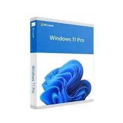 Microsoft Windows 11 Pro DE ESD ( ML )
