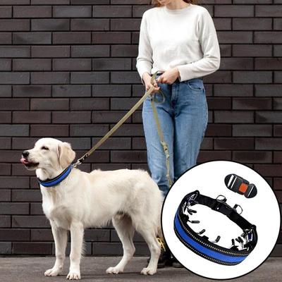Inspired Deals Adjustable Dog Training Chain Collar For Small Medium Dogs With Quick Release & Anti Twist Control XL blue
