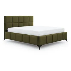 BOXBETT 160/200 Mira Grün