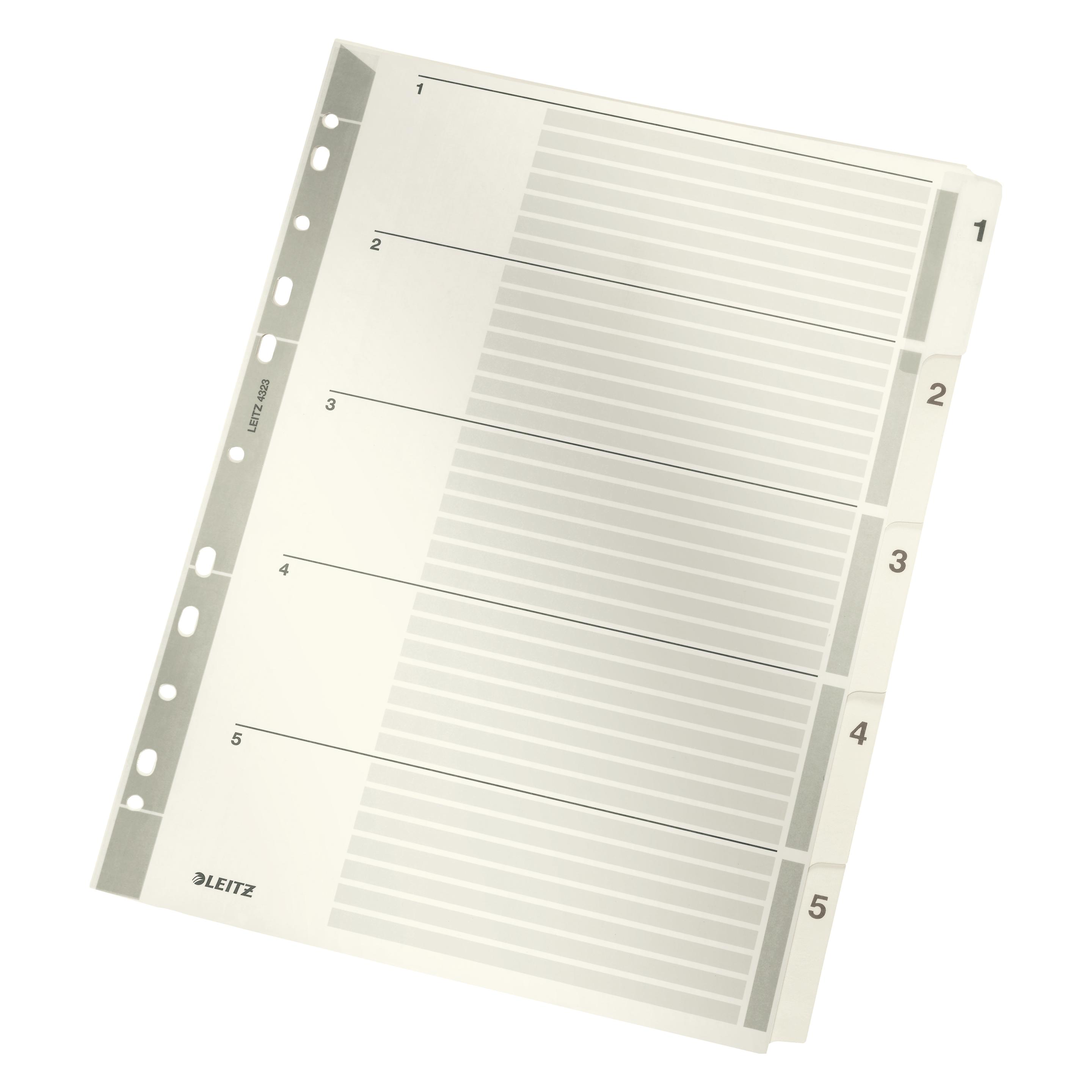 Leitz Register Karton (4323-00-00)