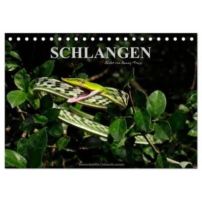 Schlangen (Tischkalender 2027 DIN A5 quer), CALVENDO Monatskalender