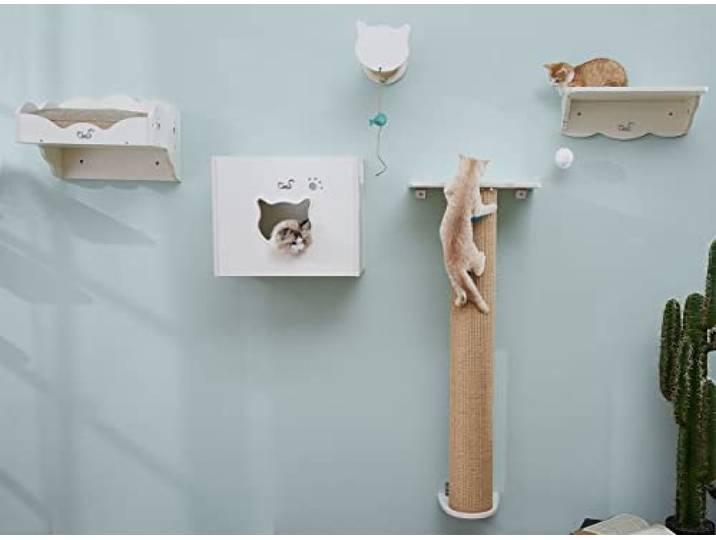 CatS Design Katzen Kletterwand Set XXL große Katzen stabil-Wandkratzbaum-Wandliege-Wandbett-Kletterstufen-Wandhöhle-Wand Kratzsäule-Wandelemente-5 Teilig Holz Wandpark T3