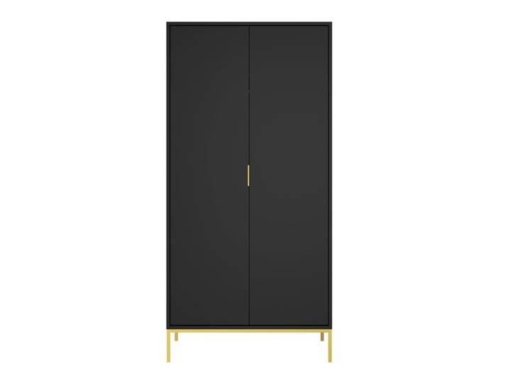 Armoire 2 portes noir et doré