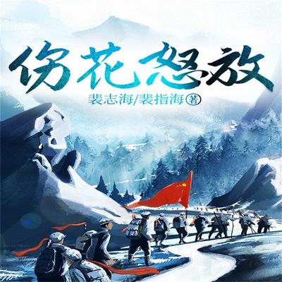 伤花怒放 - 裴志海，裴指海, Audio, 4099995974706