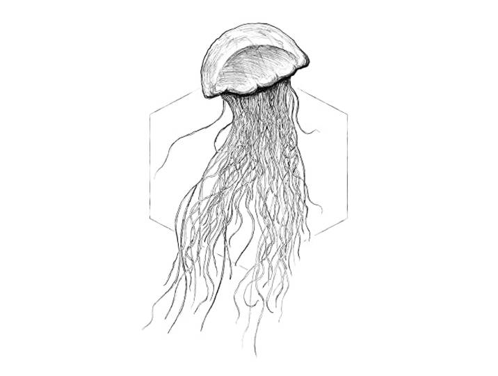 Komar Jellyfish White – Taille : 50 x 70 cm Impression sur toile (sans cadre) – Pure Boutique