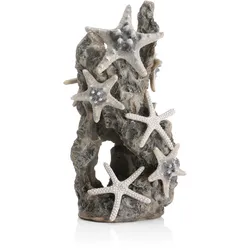 biOrb Seesternfelsen Ornament (46132)