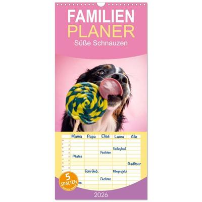 Familienplaner 2026 - Süße Schnauzen mit 5 Spalten (Wandkalender, 21 x 45 cm) CALVENDO