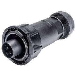 Wieland Electric 97.051.4253.1 Steckverbinder