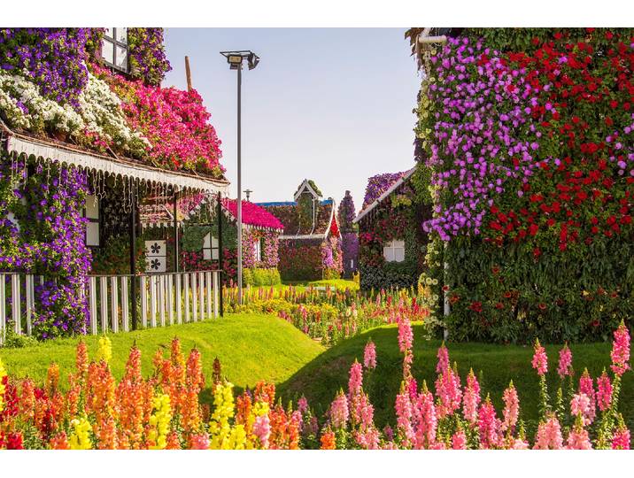 Papermoon BLUMENSTRAssE-WUNDERGARTEN PARK DUBAI HÄUSER PFLANZ