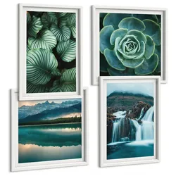 BILDER SET 4er Set - 50x50 cm & 40x60 cm Weißer Rahmen - Nahaufnahmen von Blättern sukkulenter Pflanzen