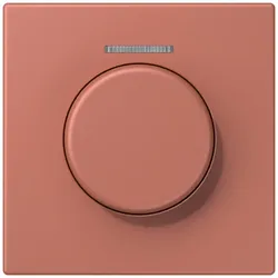 Jung Abdeckung mit Lichtleiter LC 1940 KO5 236