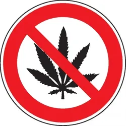 Dreifke® Verbotsschild Cannabis verboten, praxisbewährt, Kunststoff, Ø 200mm