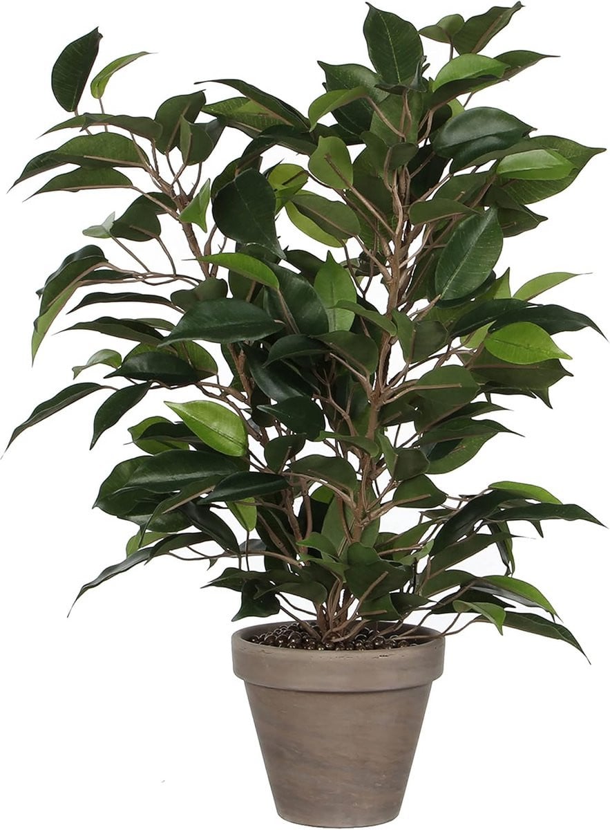 Realistische Ficus Kunstboom met Pot voor Volwassenen
