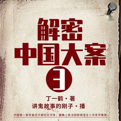 解密中国大案3 - 丁一鹤, Audio, 4099995941715
