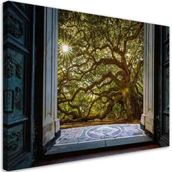 WANDBILD baumansicht sonne natur