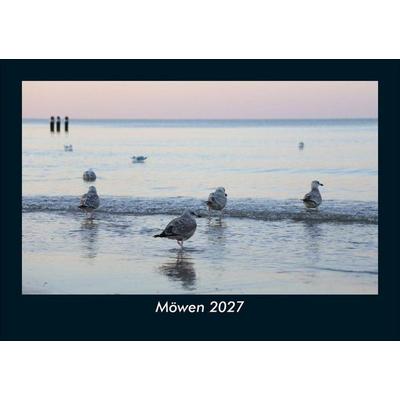 Möwen 2027 Fotokalender DIN A5