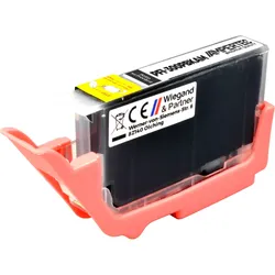 Kompatible Tinte ersetzt Canon PFI-300PBK  4193C001  photo black