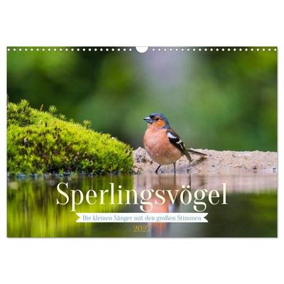 Sperlingsvögel - Die kleinen Sänger mit den großen Stimmen (Wandkalender 2027 DIN A3 quer), CALVENDO Monatskalender