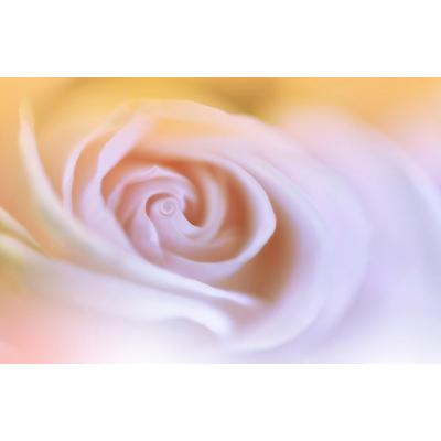 Papermoon "Zen Wassertropfen mit Blume Makro"