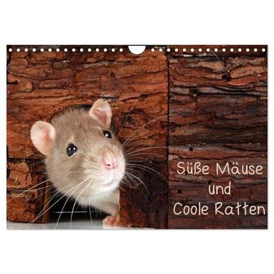 Süße Mäuse und Coole Ratten (Wandkalender 2027 DIN A4 quer), CALVENDO Monatskalender