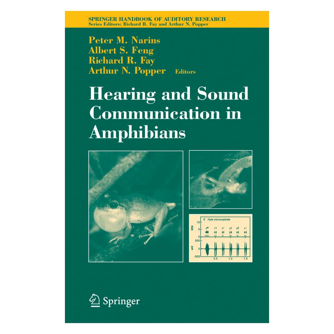 Springer Hearing and Sound Communication in Amphibians (Englisch, Softcover, Albert S. Feng, Peter M. Narins, Richard R. Fay) (55382033)