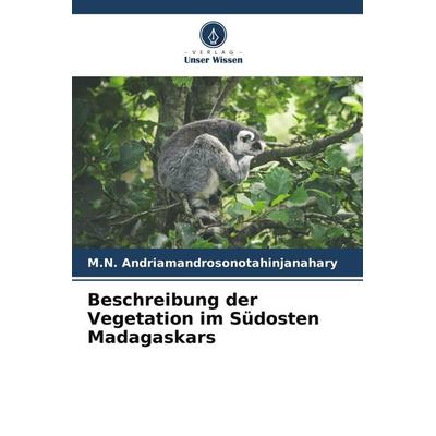 Beschreibung der Vegetation im Südosten Madagaskars, Taschenbuch von M. N. Andriamandrosonotahinjanahary, Verlag Unser Wissen, 978-620-9-51047-2