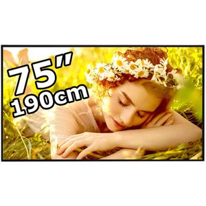 LG Digital-Signage 75UL5Q-E, 75 Zoll, 4K UHD 3840 x 2160, 500 cd/m², 24/7 Betriebszeit