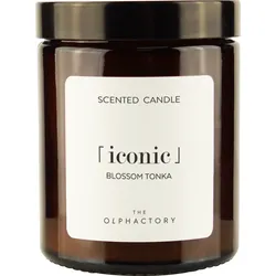Iconic - Blossom Tonka 135g Duftkerze