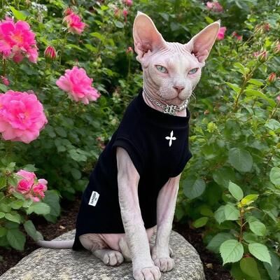 Inspired Finds Winter Cotton T Shirt For Sphynx Cats And Hairless Breeds black m