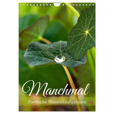 Manchmal - Poetische Momentaufnahmen (Wandkalender 2026 DIN A4 hoch), CALVENDO Monatskalender