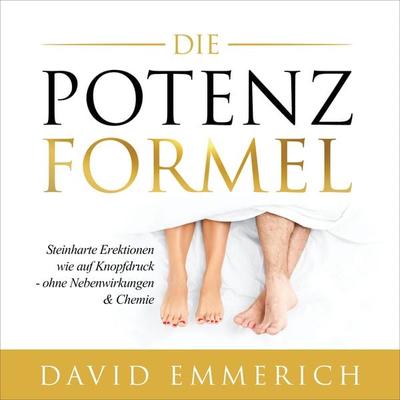 Die PotenzFormel - David Emmerich, Audio, 4064066633493