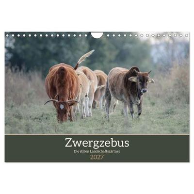 Zwergzebus - Die stillen Landschaftsgärtner (Wandkalender 2027 DIN A4 quer), CALVENDO Monatskalender