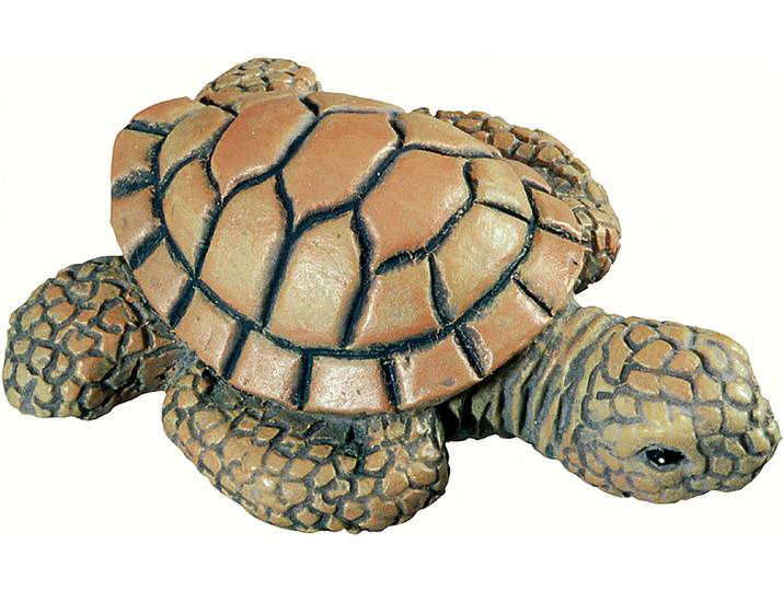 Siro Möbelknopf Schildkröte 54 × 40 × 30 mm