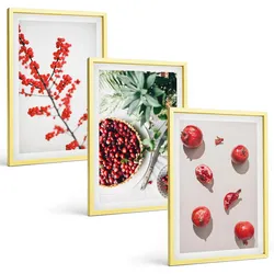BILDER SET 3er Set - 40x60 cm Goldrahmen - Minimalismus der roten Früchte von Pflanzen