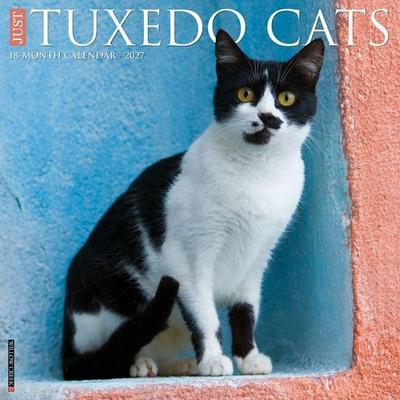 Tuxedo Cats 2027 12 X 12 Wall Calendar