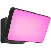 White & Color Ambiance Discover Flutlicht, LED-Leuchte schwarz
