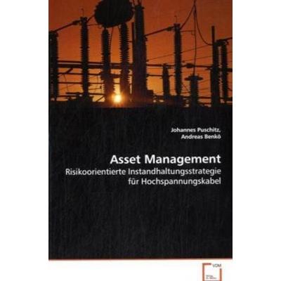 Puschitz Johannes: Asset Management, Taschenbuch von Johannes Puschitz, VDM, 978-3-639-05141-4