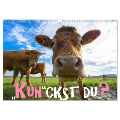 Kuhckst du? (Wandkalender 2027 DIN A3 quer), CALVENDO Monatskalender