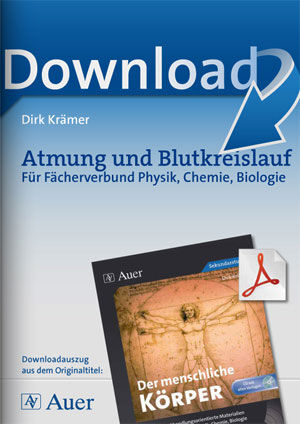 Auer Verlag Atmung und Blutkreislauf